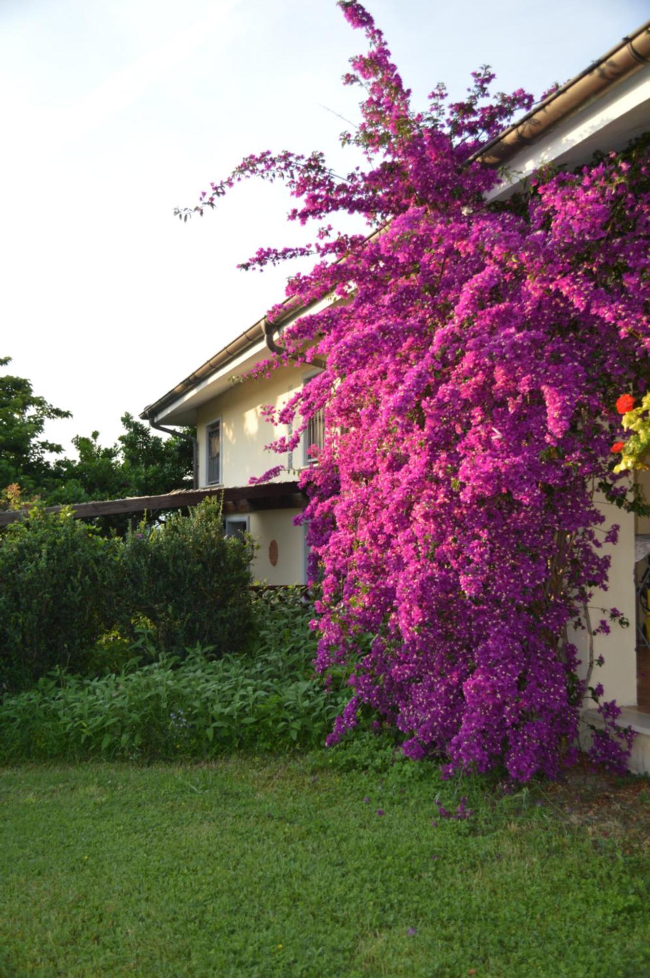 Villa Collebelvedere - Near Rome With Home Restaurant Fara in Sabina Экстерьер фото